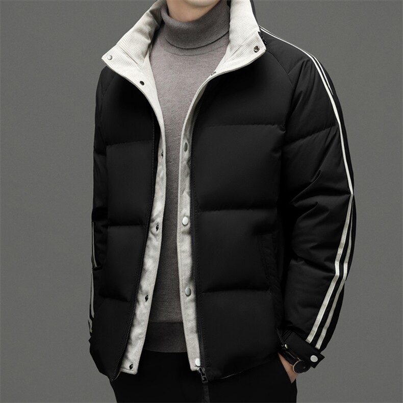 羽绒服2023年新款男冬季加厚保暖外套中青年立领宽松免烫男装上衣,男装羽绒服,电商B212（原钱塘6029）