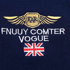 polo衫短袖男夏季潮牌2023新款半袖上衣宽松翻领t恤男，男装T恤，电商B212（原钱塘6029）