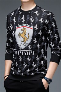 秋季休闲时尚长袖Polo衫男2023新款中年男印花圆领T恤ZLF-503-P75图片