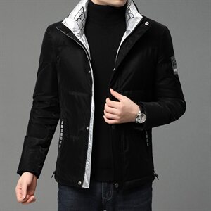 B811钱塘2020-1冬季男士羽绒服高端90白鸭绒P270图片