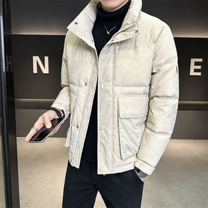 皮羽绒服男2024新款立领短款帅气冬季外套 B240-YR69010-P215图片