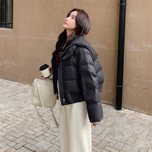 羽绒服新标90绒大货已出2C216-Y8002-P325-K458图片