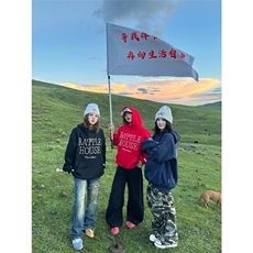 网图有货美式复古钉珠字母连帽华棉宽松情侣卫衣男女A821-P55，男装卫衣，星座1505