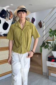 档口现货原版面料~25狼尾草翻驳领短款衬衫短袖t恤  T2580批45图片