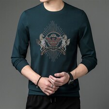 中年男士卫衣春秋季新款宽松圆领套头上衣潮流印花长袖上衣，男装卫衣，电商B212（原钱塘6029）