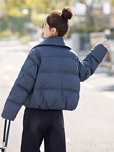 2025冬装新款简约时尚休闲翻领羽绒服图片