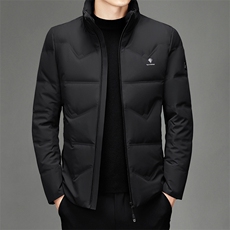 CK78238钱塘2020-2冬季厚款百搭新款休闲简约中年男士羽绒服P245，男装羽绒服，钱塘207-2