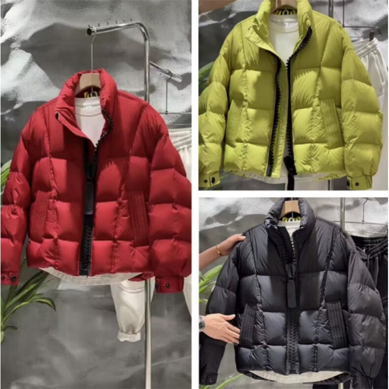 (网图) 50白鸭绒 276-318克 大拉链设计感羽绒服 313B-25900-P230图片