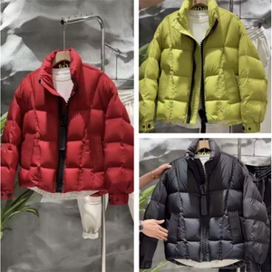 (网图) 50白鸭绒 276-318克 大拉链设计感羽绒服 313B-25900-P230图片