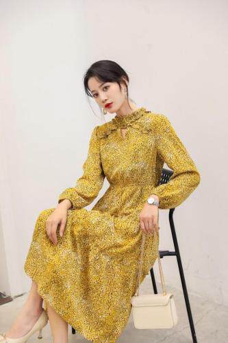 冬季新款加绒加厚连衣裙，女装连衣裙，荷塘月色