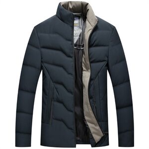 主推！2002/P155爸爸冬装羽绒服休闲商务中年男士立领轻薄羽绒服图片