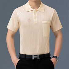夏装新款短袖t恤男士夏季冰丝polo衫宽松中老年衣服时尚百搭男装，男装T恤，电商B212（原钱塘6029）