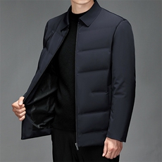 CK6606钱塘2020-2商务休闲简约翻领冬季厚款中年男士羽绒服P225，男装羽绒服，钱塘207-2