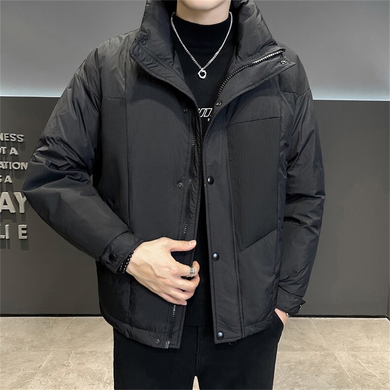 标50 店主风高品质白鸭绒休闲立领羽绒服外套男YR2358-P200图片