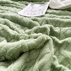 新款塔芙绒羊羔绒多功能毛毯，毯子，一起卖家纺