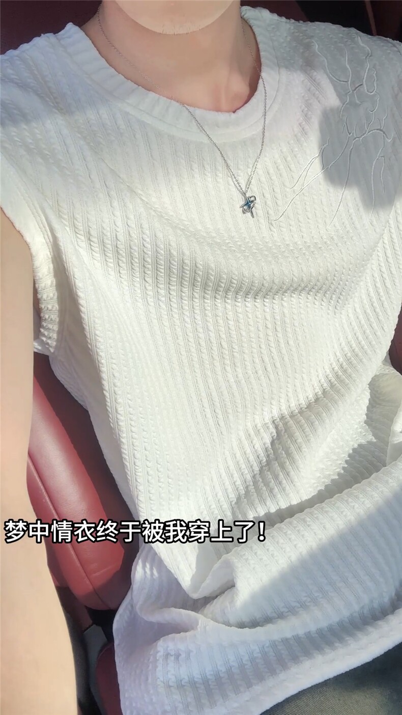 XZ809A/FFF02/特P24/控48美式V领坎肩万针绣花背心T恤,男装背心/马甲,星座809A(原222-1)
