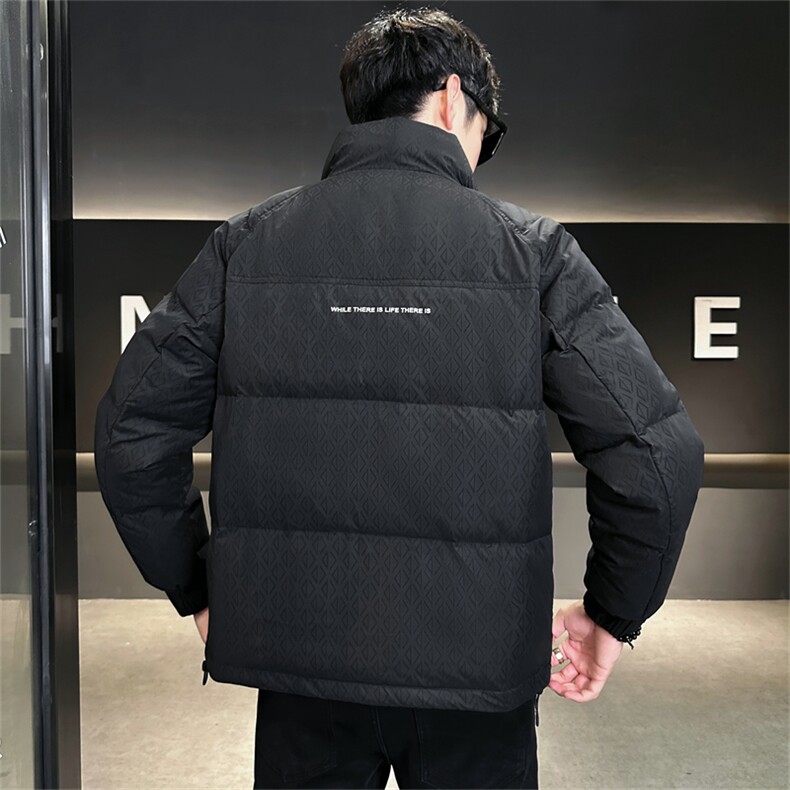 2025冬季DS-A225标新款男士立领白鸭绒羽绒服夹克885506-P150,男装夹克,电商A225
