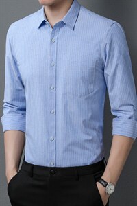 2023新款衬衫男士长袖条纹无痕春秋季中年商务休闲抗皱免烫衬衣潮图片