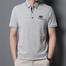 短袖T恤男夏季新款翻领商务中年男士POLO保罗衫休闲时尚男装半袖，男装T恤，电商B212（原钱塘6029）