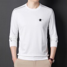 中年长袖男士2023秋季商务休闲刺绣卫衣男装宽松打底衫爸爸上衣，男装卫衣，电商B212（原钱塘6029）