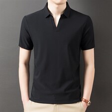2023夏季新款短袖翻领衬衫T恤上衣POLO衫中青年男士商务休闲男装，男装T恤，电商B212（原钱塘6029）