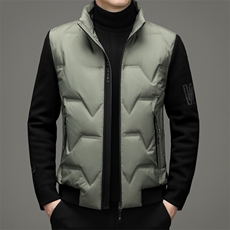 V9162钱塘2020-3羽绒服冬季鸭绒男士冬季外套加厚保暖P190，男装羽绒服，钱塘207-3