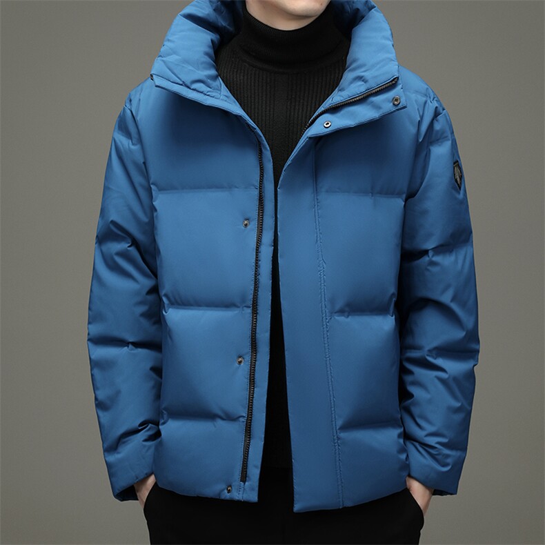 鹅绒羽绒服中青年男短款冬季休闲立领外套2023新款DFLDY5007-P290图片