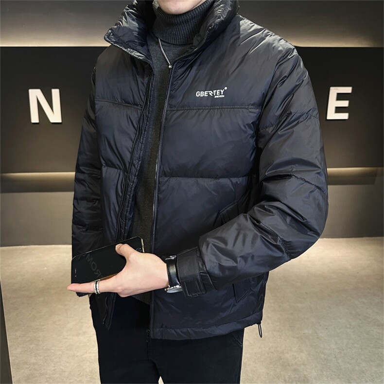 DS-A225-721冬季新款男士立领羽绒服休闲潮流百搭保暖羽绒上衣图片