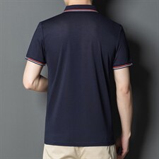 短袖t恤男夏季宽松百搭翻领休闲中年男装打底衫上衣2023新款男装，男装T恤，电商B212（原钱塘6029）