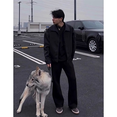 网图斌子PU皮夹克痞帅休闲短款皮外套上衣J2603-P75，男装夹克，星座1213