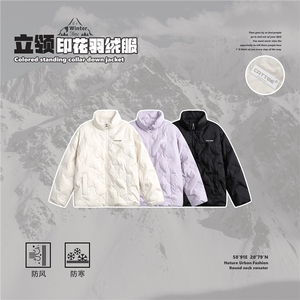 2025冬款立领印花羽绒服--8022模特图图片