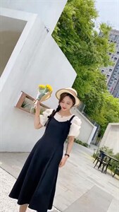 夏季新款两件套连衣裙图片