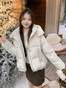 现货新款2178-P275-K399羽绒服白鸭绒图片