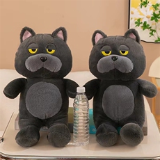 兰猫	兔毛