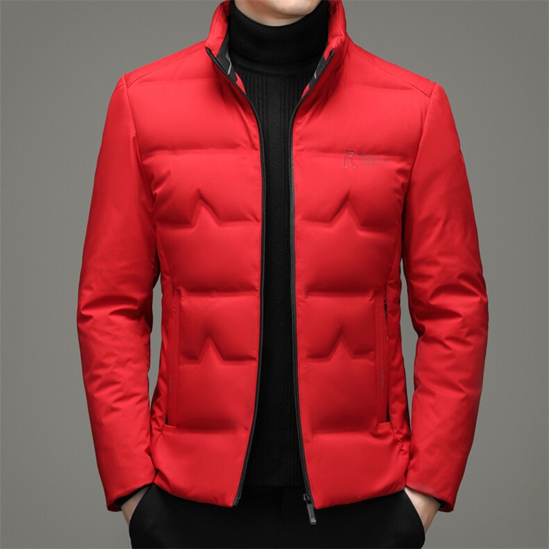 白鸭绒羽绒服男中长款羽绒服冬季中年男休闲立领外套ZL6701-P210,男装羽绒服,电商B212（原钱塘6029）