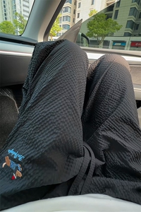特批P25无差价夏季美式薄款刺绣腊肠狗泡泡纱男宽松阔腿长裤K5688图片