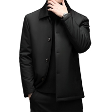 冬棉衣男中青年翻领棉服冬季加厚夹克外套爸爸装DFLDM16005-P195，男装棉衣，电商B212（原钱塘6029）
