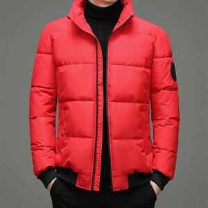 冬季潮流男新款保暖纯色连帽外套棉衣休闲棉服面包服ZG2822-P95图片