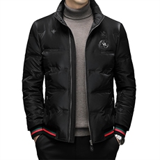 DF8828钱塘2020-2商务百搭简约厚款新款中年男士羽绒服P230，男装羽绒服，钱塘207-2