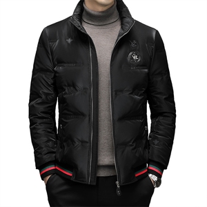 DF8828钱塘2020-2商务百搭简约厚款新款中年男士羽绒服P230图片