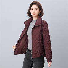 2024年新款潮高立领夹棉菱格外套韩版休闲刺绣棉衣棉服女显瘦，女装棉衣/棉服，鑫鑫格