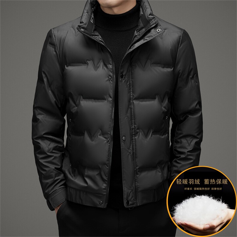 男羽绒服冬季新款立领休闲保暖短款加厚羽绒韩版潮服外套男装，男装羽绒服，钱塘6003（原4033）