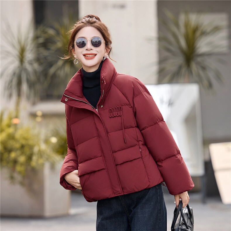 简约时尚潮流羽绒服休闲显瘦减龄冬季立领纯色女外套,女装羽绒服,姿衣坊