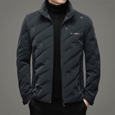 羽绒服中青年男士潮流休闲纯色立领90%绒羽绒男装外套ZG2947-P205，男装羽绒服，电商B212（原钱塘6029）