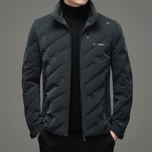 羽绒服中青年男士潮流休闲纯色立领90%绒羽绒男装外套ZG2947-P205图片