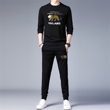 2023春秋季时尚圆领印花套装男休闲运动服中青年长袖T恤两件套男，男装休闲套装，电商B212（原钱塘6029）