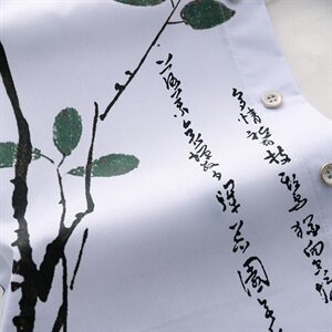 2021年大码印花中国风衬衫男春夏新款青年短袖衬衫 QT5030/761p45图片