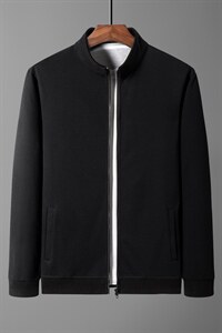 BP21006钱塘2020-2春秋新款时尚休闲百搭纯棉男士卫衣货稳P77图片