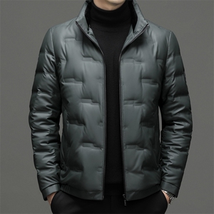 DF22128钱塘2020-2中年男士冬季厚款时尚休闲简约羽绒服P270图片