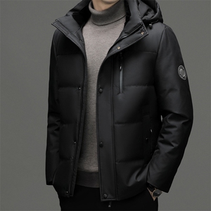羽绒服男士新款秋冬季宽松休闲中青年保暖连帽外套 FF9758-P315图片